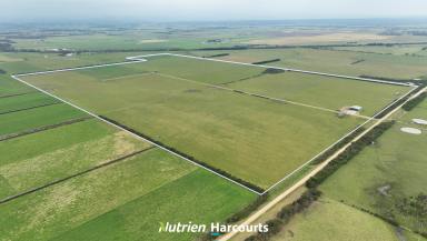 Farm For Sale - VIC - Tarraville - 3971 - 250 Acres of Prime Grazing Land  (Image 2)