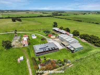 Farm For Sale - VIC - Outtrim - 3951 - Family Home on 173 Acres of Prime Grazing Property  (Image 2)