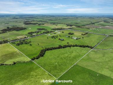 Farm For Sale - VIC - Outtrim - 3951 - Family Home on 173 Acres of Prime Grazing Property  (Image 2)