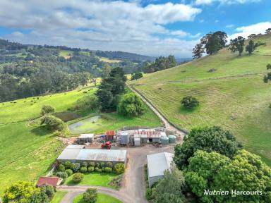 Farm For Sale - VIC - Narracan - 3824 - Limitless Potential: Two Homes on 220 Acres  (Image 2)