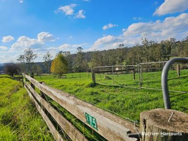 Farm For Sale - VIC - Boolarra South - 3870 - Boolarra Grazing Land  (Image 2)