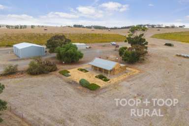 Farm For Sale - SA - St Kitts - 5356 - St Kitts - Barossa Valley  (Image 2)