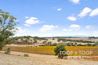 Farm For Sale - SA - St Kitts - 5356 - St Kitts - Barossa Valley  (Image 2)