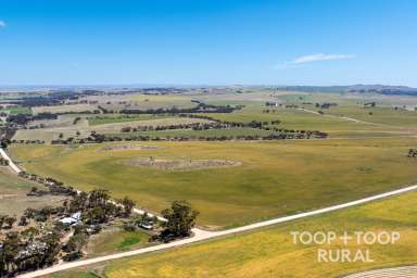 Farm For Sale - SA - St Kitts - 5356 - St Kitts - Barossa Valley  (Image 2)