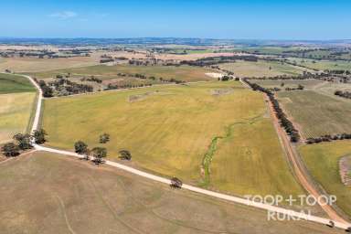 Farm For Sale - SA - St Kitts - 5356 - St Kitts - Barossa Valley  (Image 2)