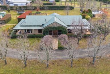 Farm For Sale - NSW - Exeter - 2579 - Exceptional Lifestyle Property in Idyllic Exeter  (Image 2)
