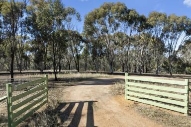 Farm For Sale - VIC - Earlston - 3669 - Rural Splendour on 12-Acres with Expansive Farming Facilities  (Image 2)