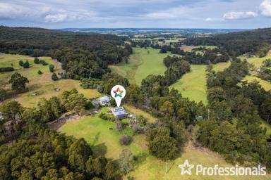 Farm For Sale - VIC - Macks Creek - 3971 - Wake Up To Nature In An Inspirational Private Setting. Rustic 3-Bedroom Cedar Lifestyle Retreat on 2.72 Hectares (6.7 Acres)  (Image 2)
