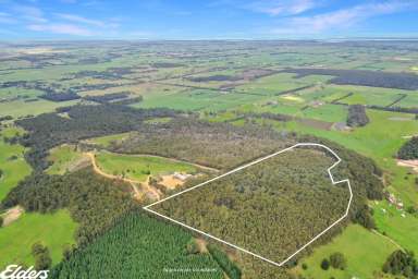 Farm For Sale - VIC - Devon North - 3971 - VIEWS, VIEWS, VIEWS  (Image 2)