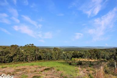 Farm For Sale - VIC - Devon North - 3971 - VIEWS AS FAR AS YOU CAN SEE  (Image 2)