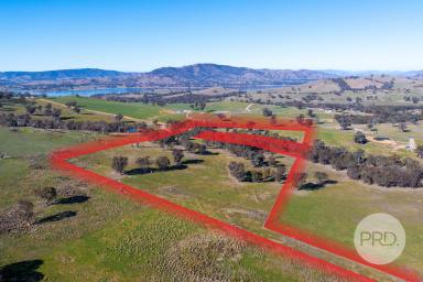 Farm For Sale - NSW - Wirlinga - 2640 - ELITE LIFESTYLE OPPORTUNITY  (Image 2)
