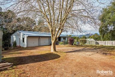 Farm For Sale - TAS - Wilmot - 7310 - This is what living in Tassie is all about!  (Image 2)