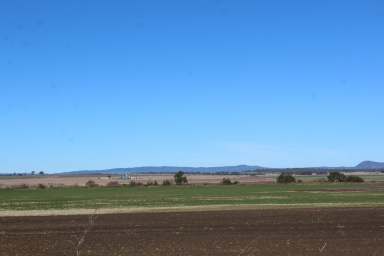 Farm For Sale - QLD - Wiyarra - 4370 - ON THE BANK ON FARM CREEK  (Image 2)