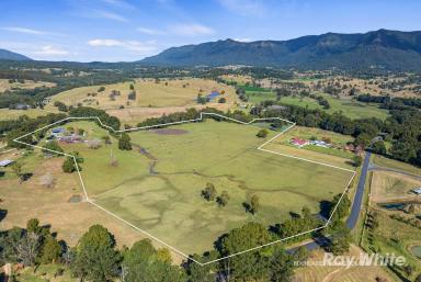 Farm For Sale - NSW - Tyalgum - 2484 - A Horse lovers' paradise  (Image 2)