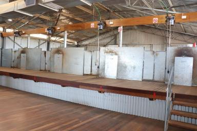 Farm Auction - NSW - Trundle - 2875 - Jewel in the Crown - Air Conditioned new Woolshed + exceptional Country  (Image 2)