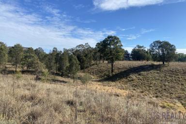 Farm For Sale - NSW - Wybong - 2333 - 14 Acres Fronting Wybong Creek  (Image 2)
