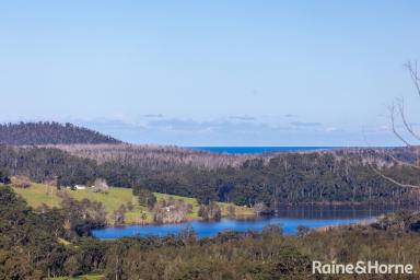 Farm For Sale - NSW - Conjola - 2539 - Discover the Ultimate Rural/ Coastal Escape  (Image 2)