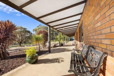 Farm For Sale - VIC - Smythesdale - 3351 - One-Owner Quality Family Home in Picturesque Setting  (Image 2)