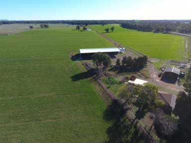 Farm Sold - NSW - Forbes - 2871 - Affordable River Retreat with Irrigation & Infrastructure  (Image 2)