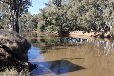 Farm Auction - NSW - Forbes - 2871 - Affordable River Retreat with Irrigation & Infrastructure  (Image 2)