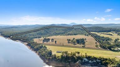Farm For Sale - VIC - Coongulla - 3860 - ABSOLUTE LAKE FRONTAGE  (Image 2)