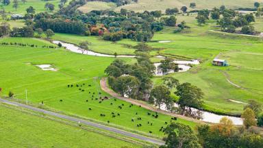 Farm For Sale - VIC - Maffra West Upper - 3859 - OUTSTANDING CENTRAL GIPPSLAND GRAZING PROPERTY  (Image 2)