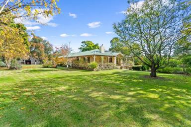 Farm For Sale - VIC - Maffra West Upper - 3859 - OUTSTANDING CENTRAL GIPPSLAND GRAZING PROPERTY  (Image 2)