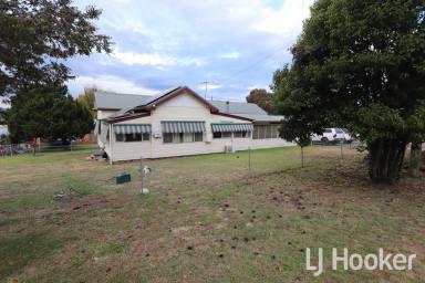 Farm For Sale - NSW - Inverell - 2360 - Calling All Horse Enthusiasts  (Image 2)
