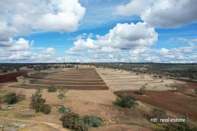 Farm For Sale - NSW - Inverell - 2360 - SANDY KNOWE  (Image 2)