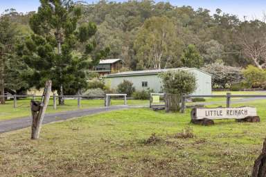 Farm For Sale - QLD - Emu Vale - 4371 - ENVIABLE COUNTRY RETREAT THAT WILL EXCITE AND INSPIRE  (Image 2)