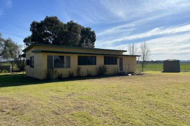Farm For Sale - NSW - Billimari - 2804 - Escape to the country to this renovators delight!  (Image 2)