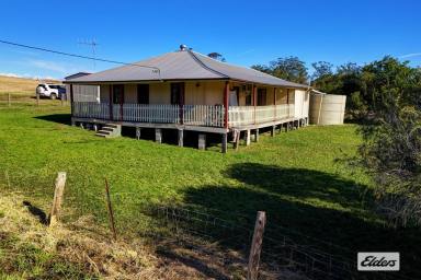 Farm For Sale - NSW - Upper Lansdowne - 2430 - FORTY ACRES OF OPPORTUNITY  (Image 2)