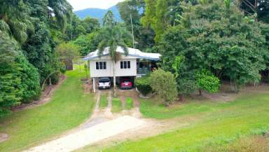 Farm For Sale - QLD - Rockingham - 4854 - TullyRiverside Retreat for Sale  (Image 2)