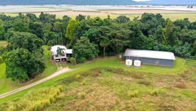 Farm For Sale - QLD - Rockingham - 4854 - TullyRiverside Retreat for Sale  (Image 2)