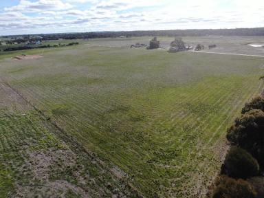 Farm For Sale - WA - Broomehill Village - 6318 - 15 Acres Up for Grabs  (Image 2)