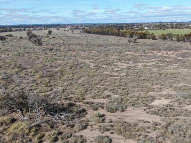Farm For Sale - WA - Katanning - 6317 - THE SEARCH IS OVER  (Image 2)