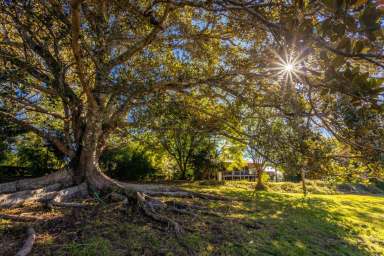 Farm Sold - NSW - Kimbriki - 2429 - 54 Acres | Circa 1910 Homestead  (Image 2)