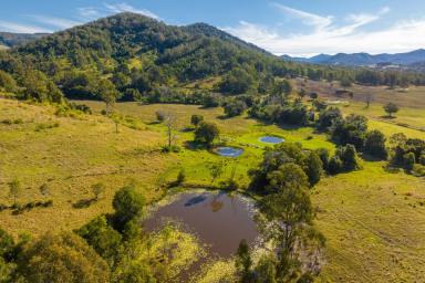 Farm Auction - NSW - Kimbriki - 2429 - 54 Acres | Homestead | Views of the Valley  (Image 2)