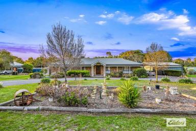 Farm For Sale - VIC - Stawell - 3380 - Spacious Family Home Right On The Edge Of Town  (Image 2)