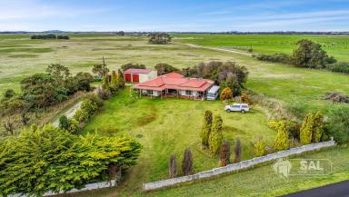 Farm For Sale - SA - Kongorong - 5291 - Intensive 288.5 Ha Irrigation Property in a fantastic location  (Image 2)