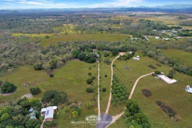 Farm Sold - QLD - Mareeba - 4880 - PRIVATE 5 ACRES WITH IMPRESSIVE SHED  (Image 2)