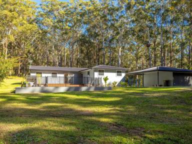 Farm For Sale - NSW - Oxley Island - 2430 - PEACEFUL AND PRIVATE AMONGST THE TREES  (Image 2)