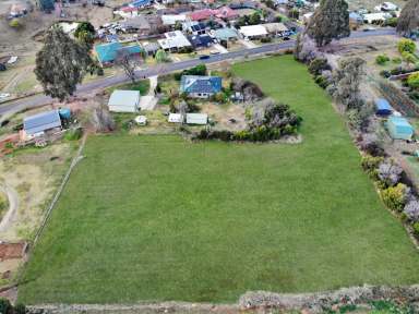 Farm For Sale - NSW - Batlow - 2730 - Batlow Views  (Image 2)