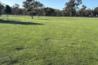 Farm For Sale - WA - Broomehill Village - 6318 - 4.5 Acres Full of Potential  (Image 2)