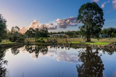 Farm For Sale - NSW - Paterson - 2421 - This Grand Semi - Rural Retreat Awaits You!  (Image 2)