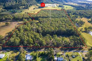 Farm For Sale - NSW - Coolongolook - 2423 - 14.53-hectare property in the conveniently located town of Coolongolook  (Image 2)