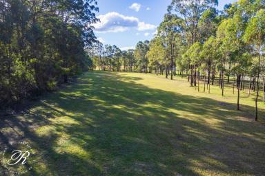 Farm For Sale - NSW - Coolongolook - 2423 - 14.53-hectare property in the conveniently located town of Coolongolook  (Image 2)
