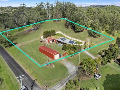 Farm For Sale - QLD - Mount Pleasant - 4521 - Escape to the Country  (Image 2)