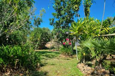 Farm For Sale - NT - Batchelor - 0845 - Near new house on acreage!!  (Image 2)