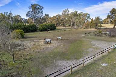 Farm Sold - VIC - Elmhurst - 3469 - Charming 3-Bedroom Home with Equestrian Facilities and BnB Potential in Serene Elmhurst  (Image 2)